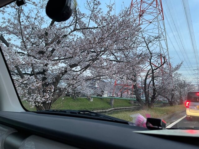 ブログ挑戦NO46　　令和4年4月・鹿島川辺の桜