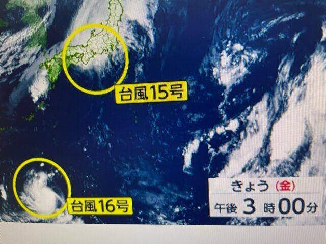 NO5　台風発生