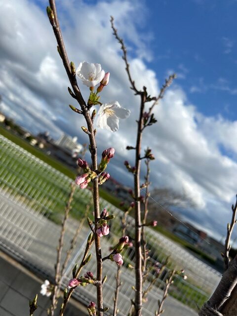 2026年4月・・新年度